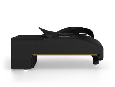 Blackbird P80